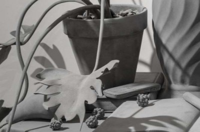 HANS OP DE BEECK - 'Small things and soothing thoughts'