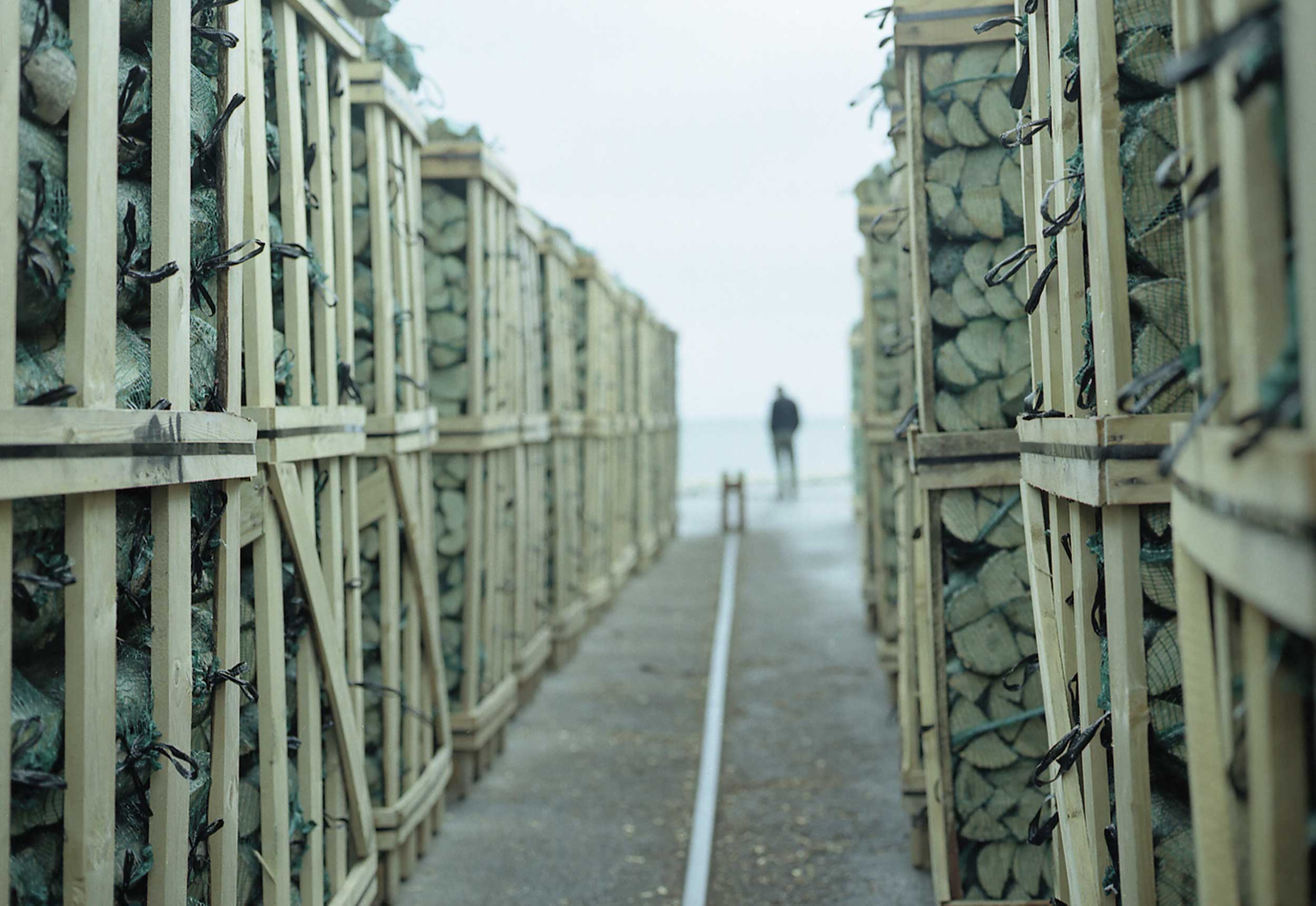 Margherita Morgantin