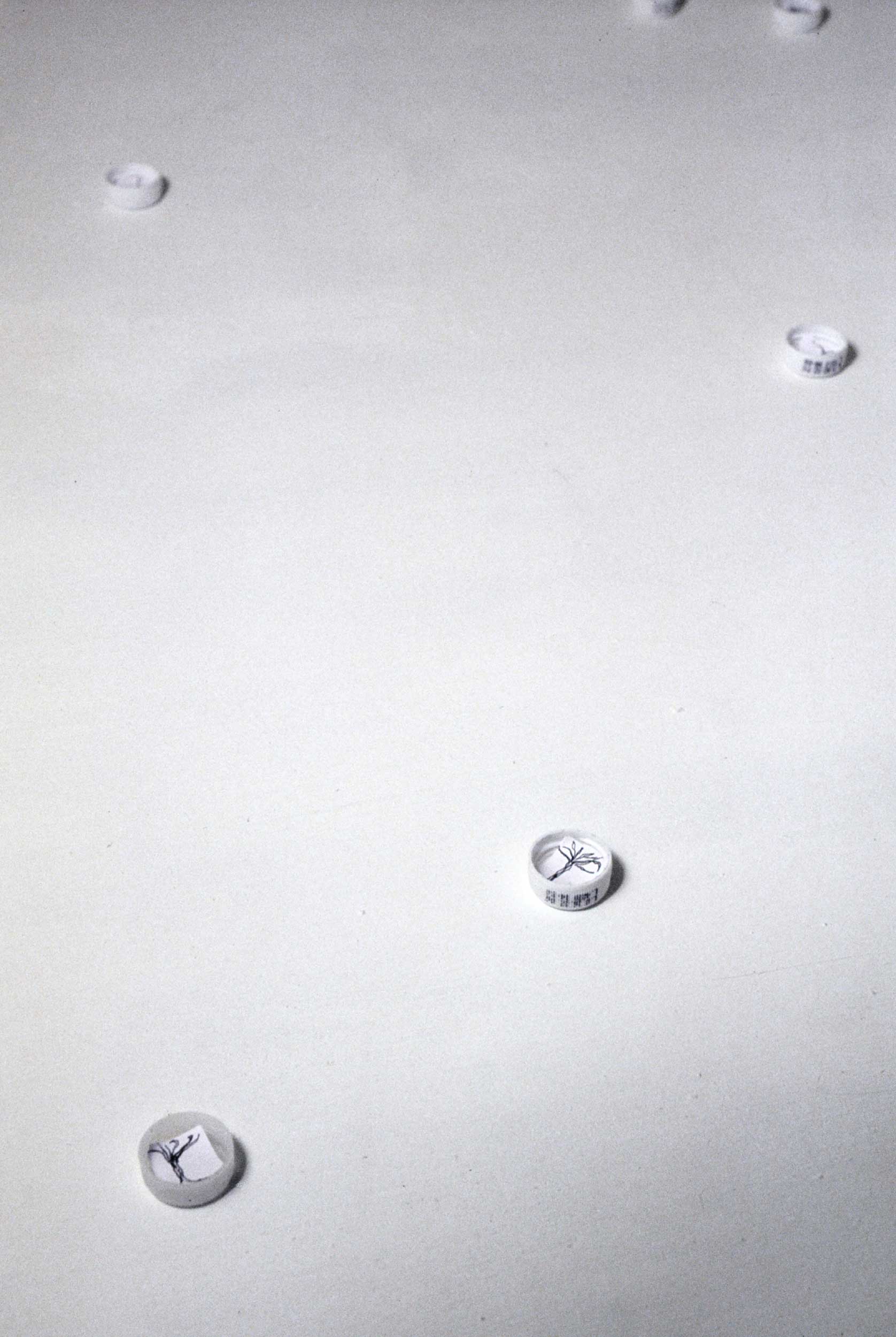 Margherita Morgantin