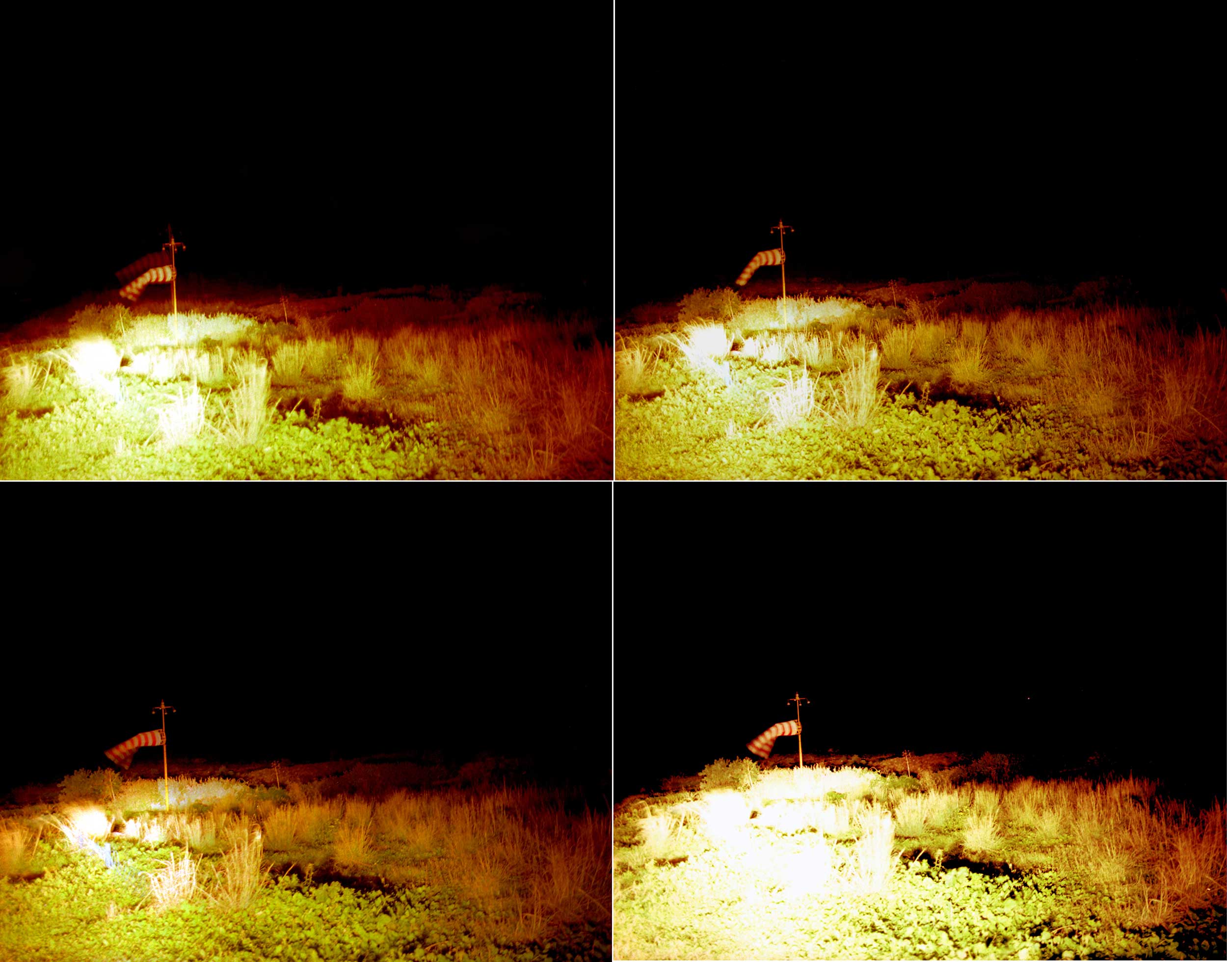 Margherita Morgantin