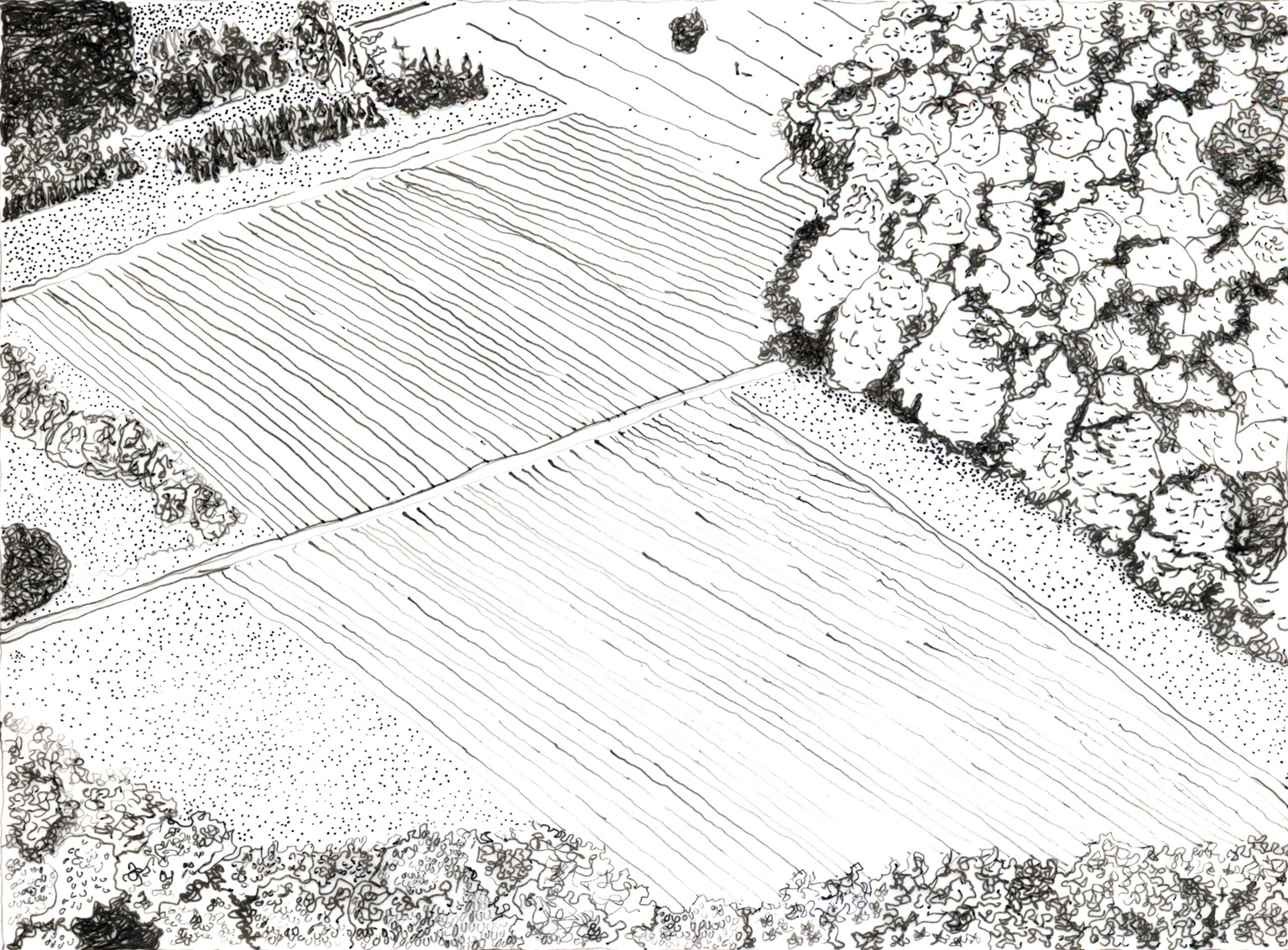 Margherita Morgantin