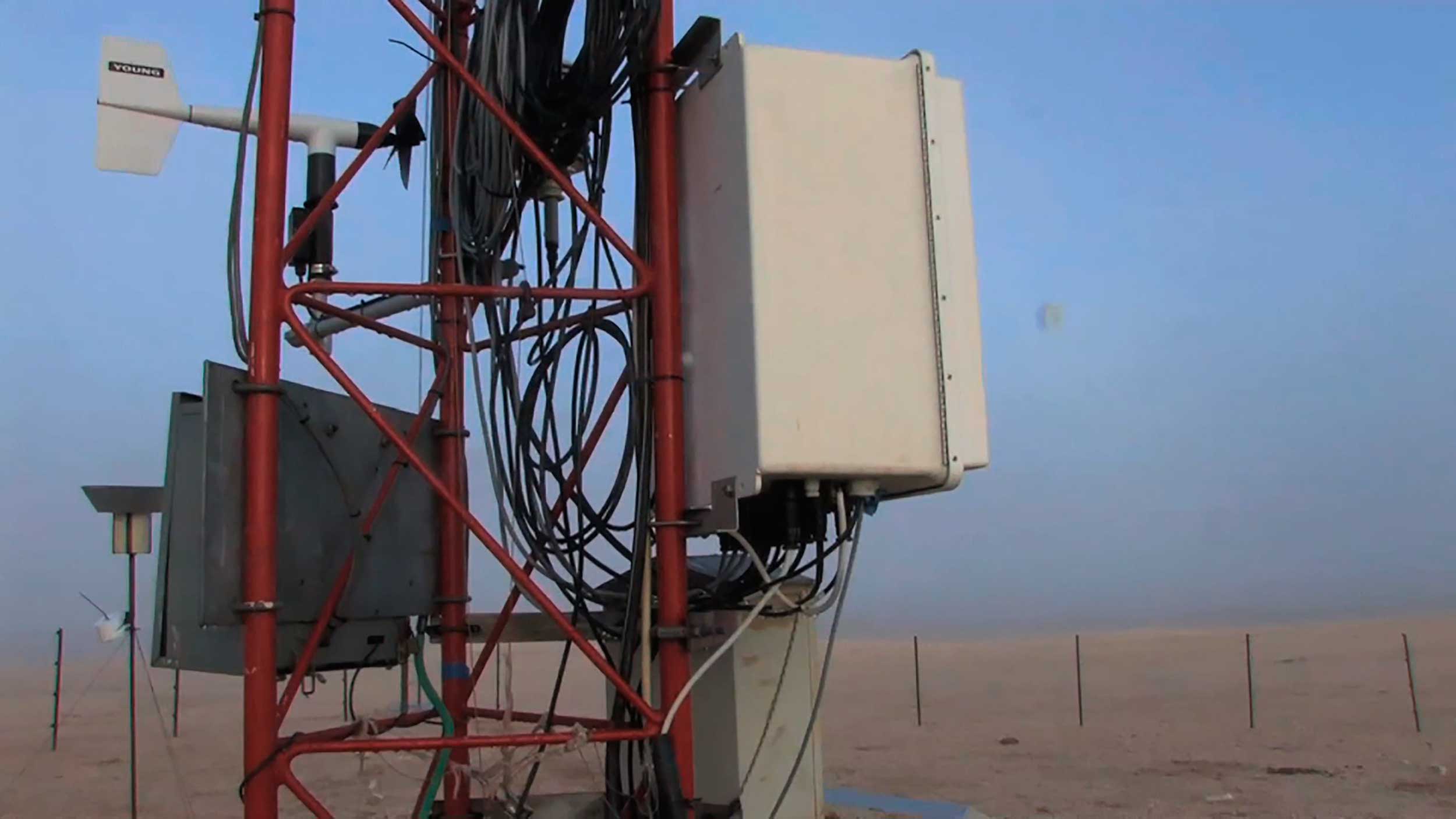 Margherita Morgantin