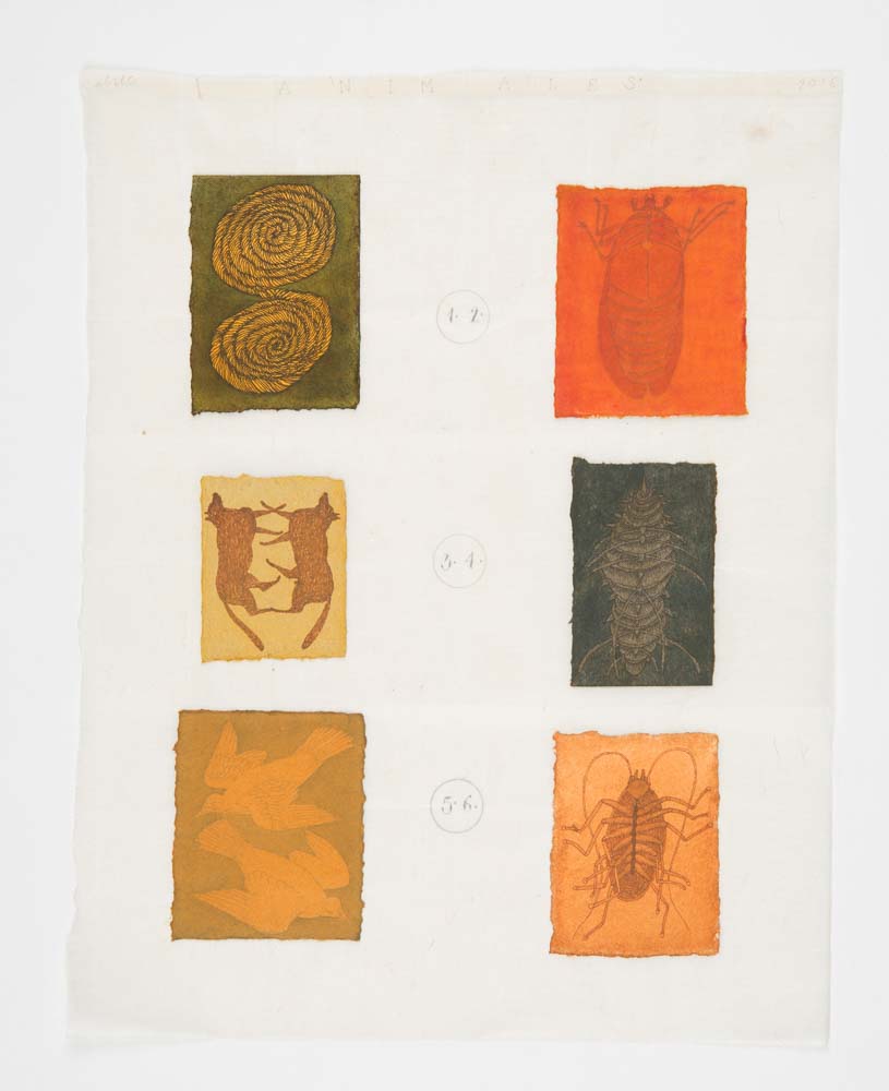 José Antonio Suárez Londoño