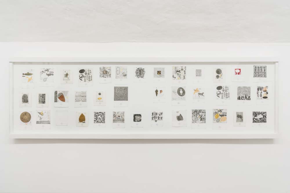 José Antonio Suárez Londoño