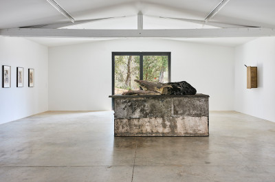 Berlinde De Bruyckere - 'City of Refuge I'
