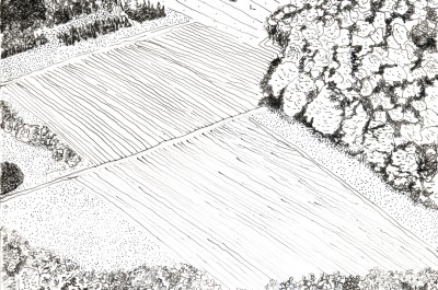 Margherita Morgantin