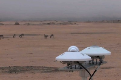 Margherita Morgantin