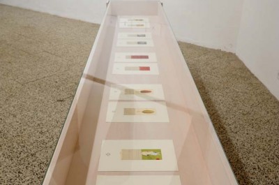 José Antonio Suárez Londoño