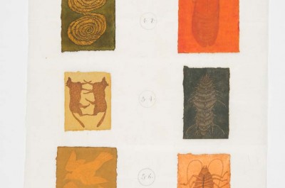 José Antonio Suárez Londoño