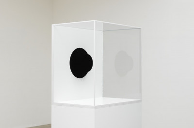 Anish Kapoor