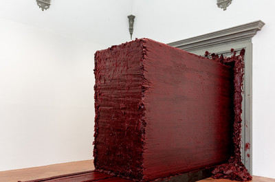 Anish Kapoor - Untrue Unreal