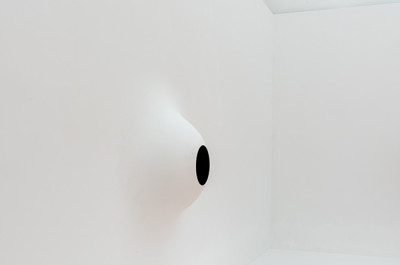 Anish Kapoor - Untrue Unreal