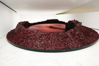 Anish Kapoor - 