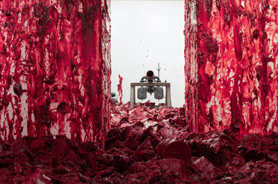 Anish Kapoor - 