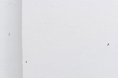 Paintings from Long Ago