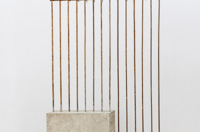 Yoan Capote