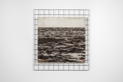 Yoan Capote