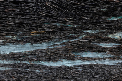 Yoan Capote