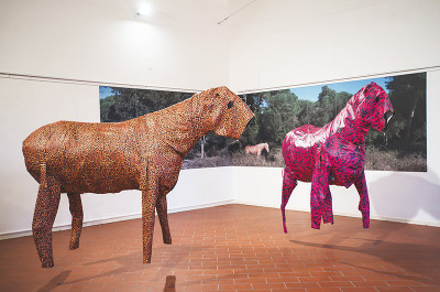 Zhanna Kadyrova - 'Animalier'