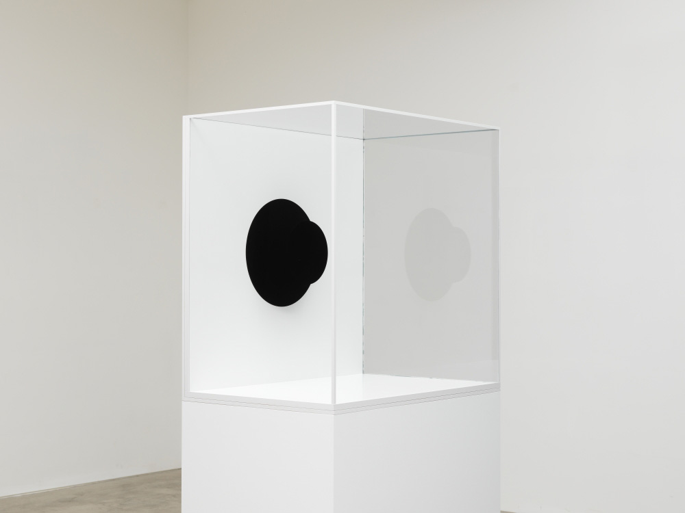 Anish Kapoor