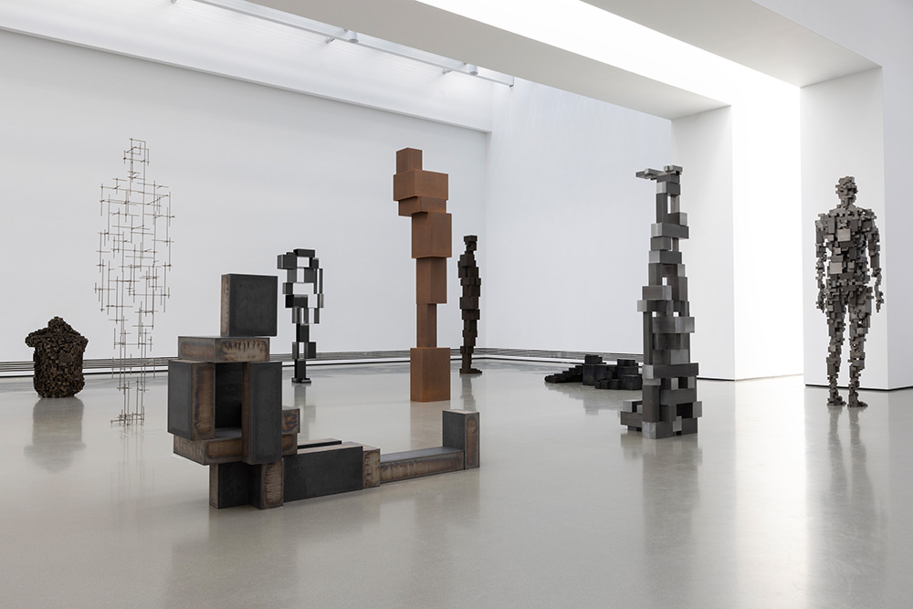 Antony Gormley - Living Time