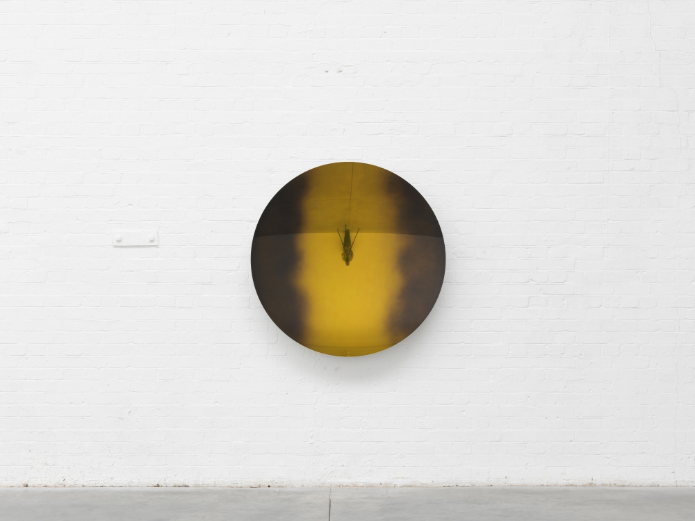 Anish Kapoor