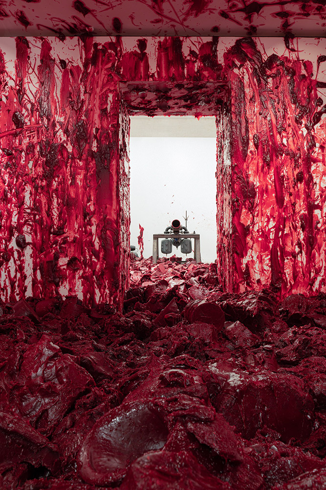 Anish Kapoor - 