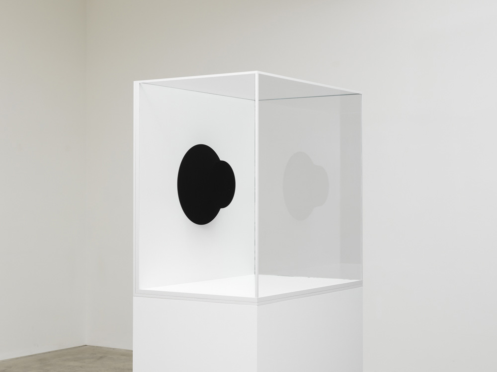 Anish Kapoor - 