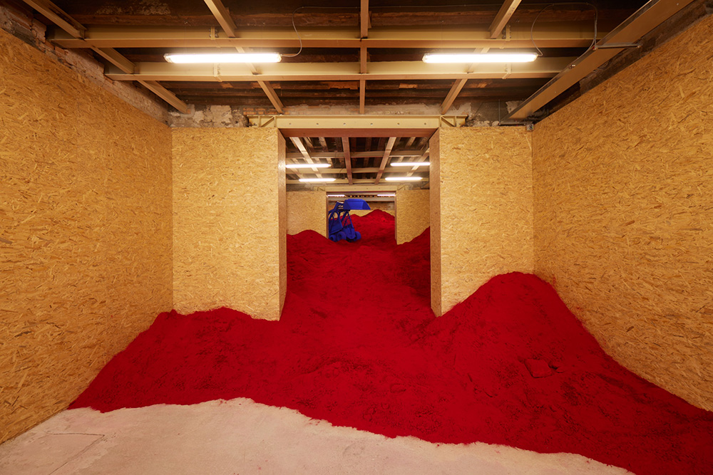 Anish Kapoor - 