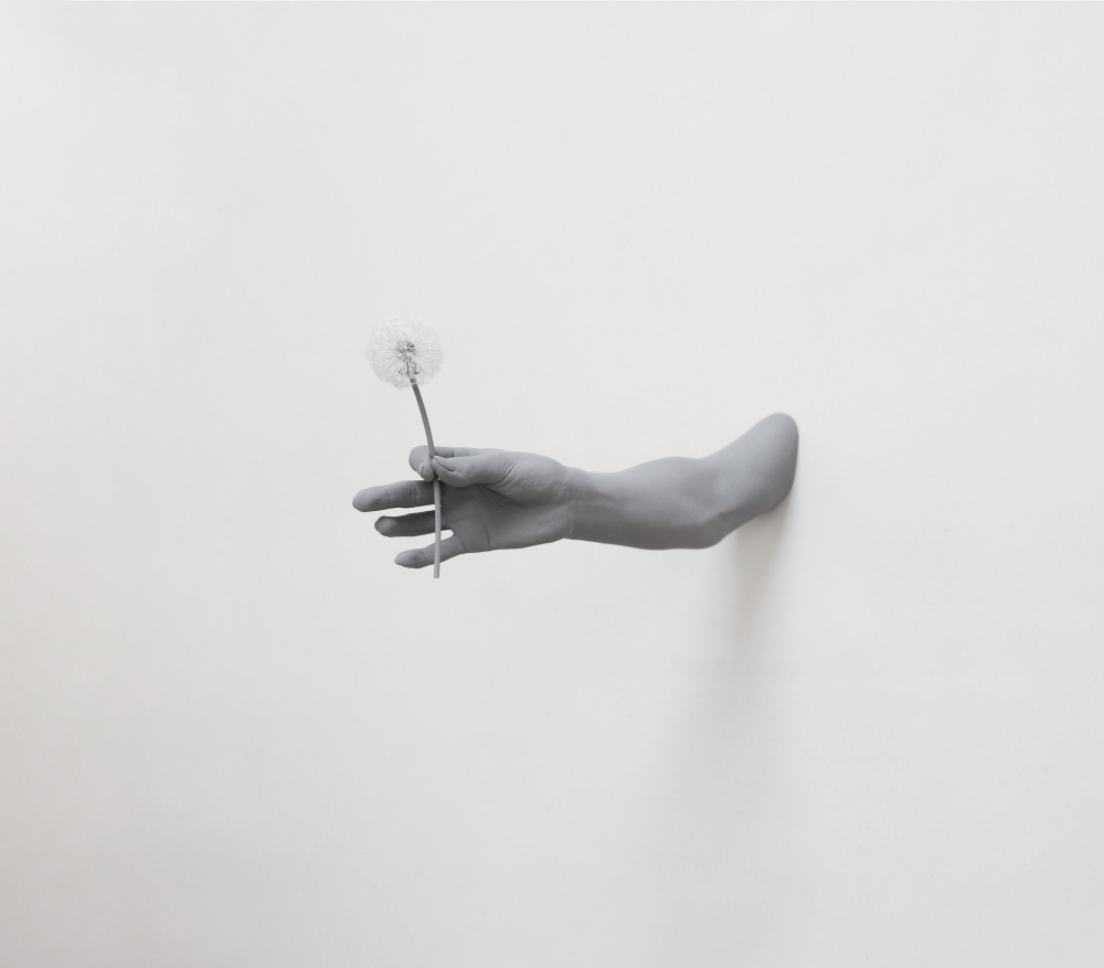Hans Op de Beeck