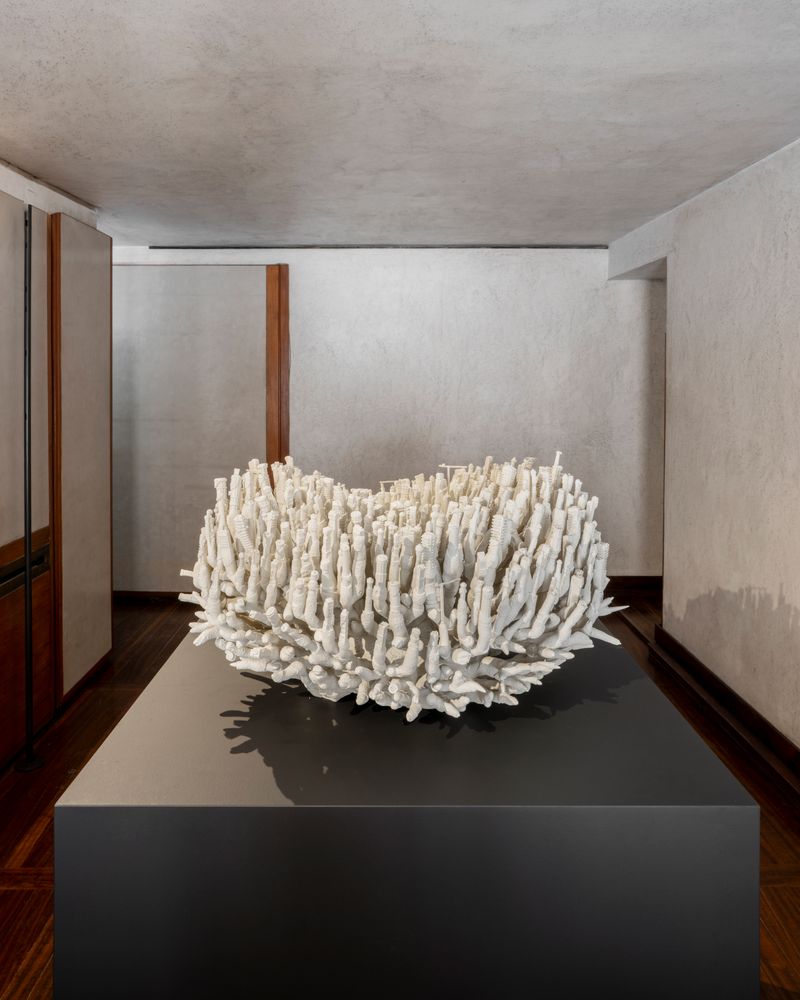 Leandro Erlich - Hybrids. Leandro Erlich al Negozio Olivetti
