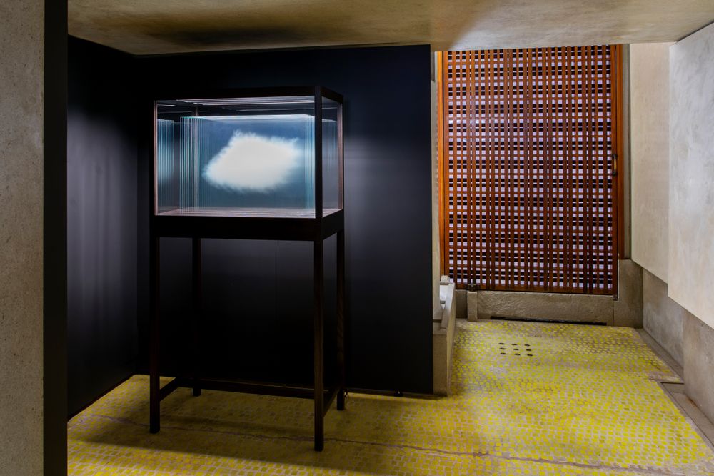 Leandro Erlich - Hybrids. Leandro Erlich al Negozio Olivetti
