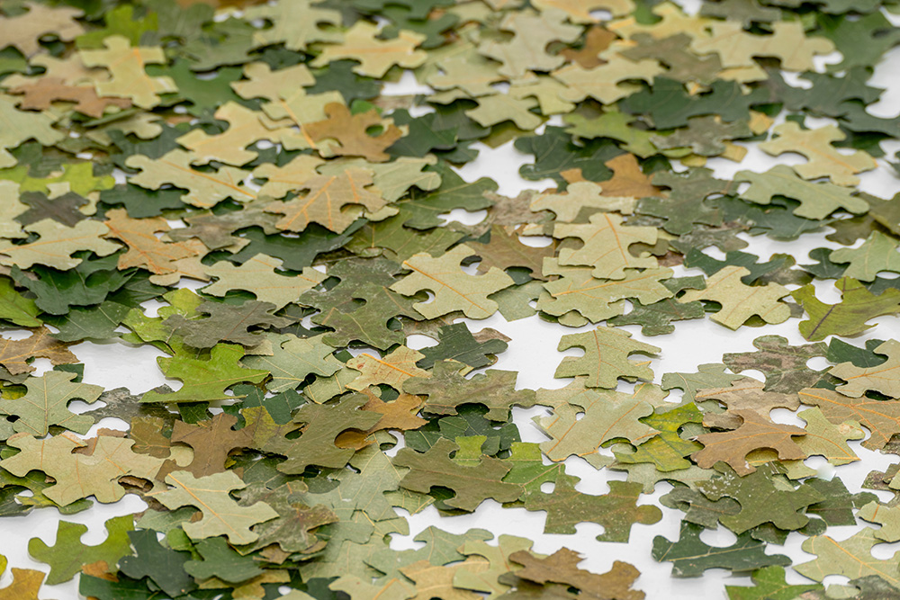 False Autumn