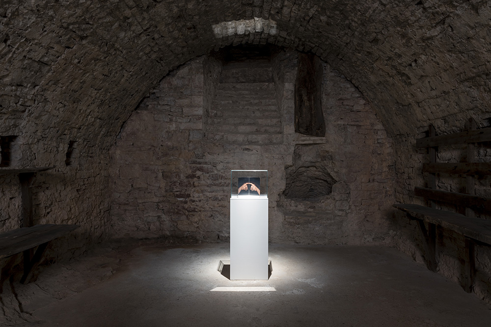 Michelangelo Pistoletto - FRANCISCUS. Fratello in arte
