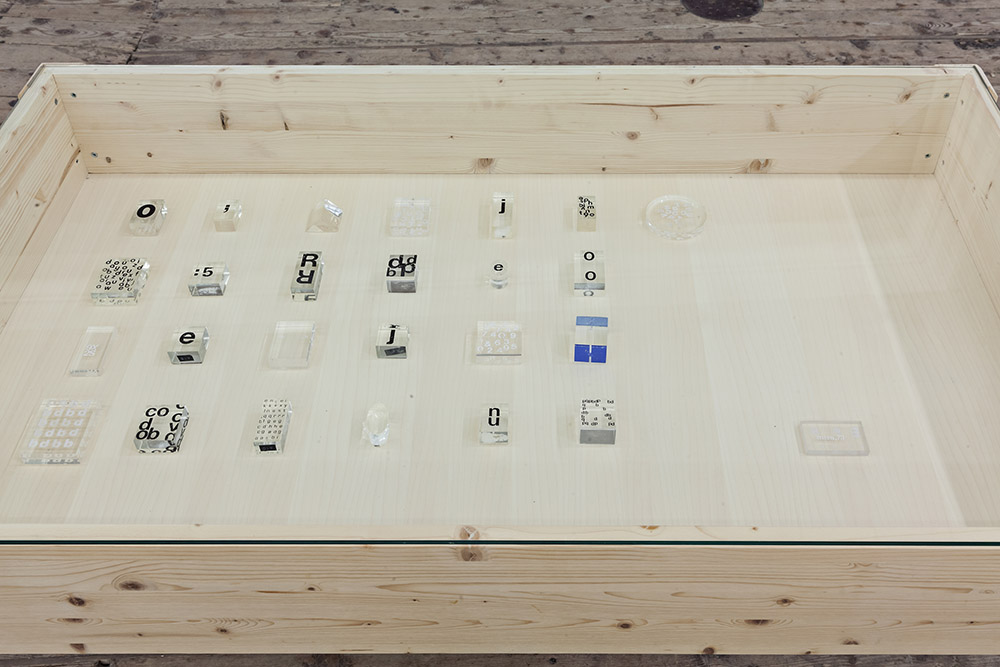 curated by Ricardo Sardenberg