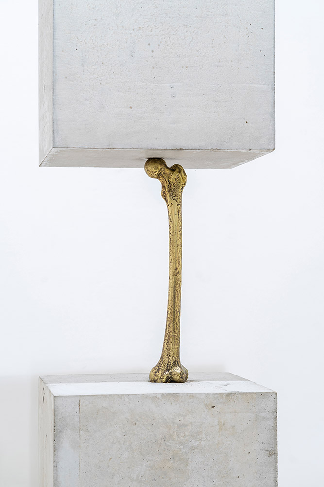 Yoan Capote