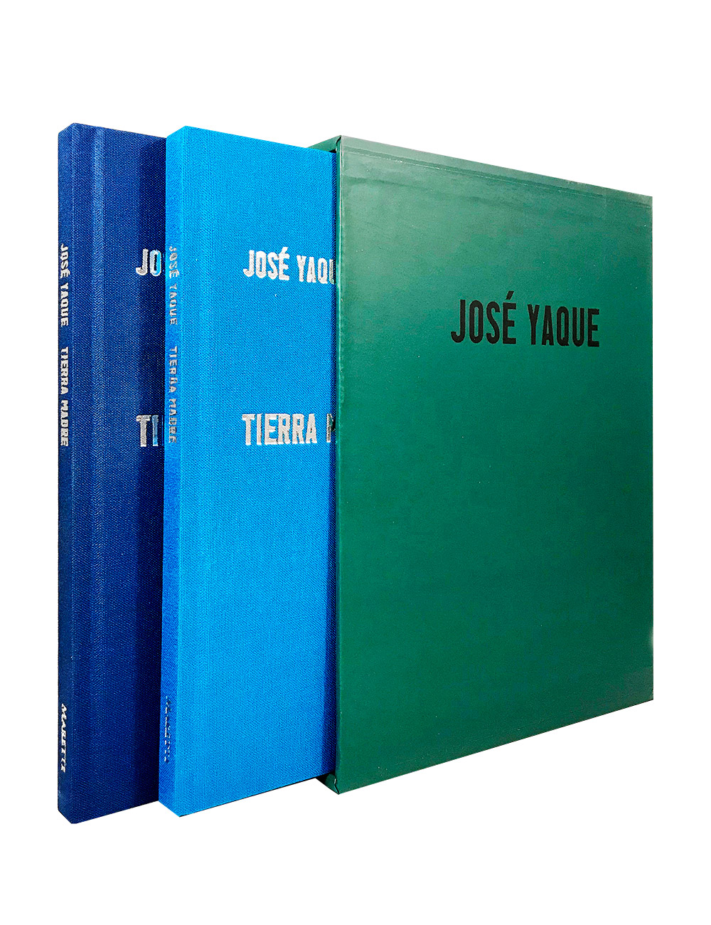 JOSÉ YAQUE. Tierra Madre, 2017