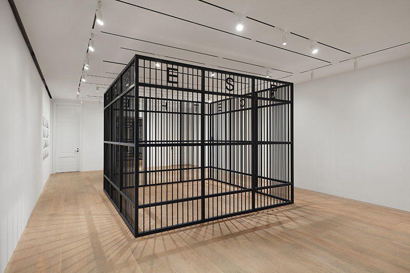 'The Ishara House: Amphibian Aesthetics'