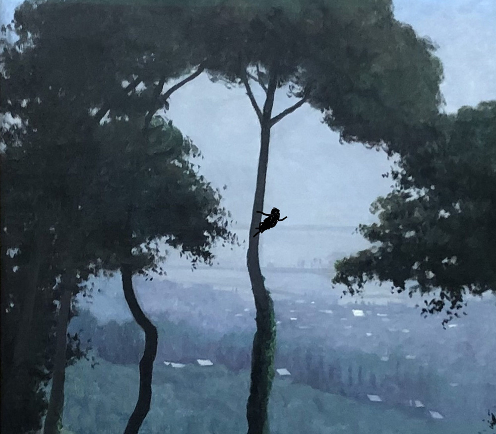 NEDKO SOLAKOV 'Being Vallotton'